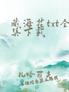 藏海花txt全集下载