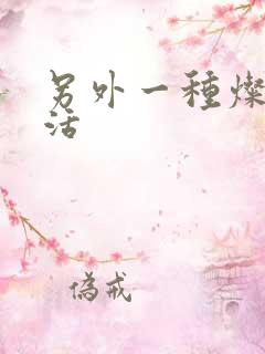 另外一种灿烂生活