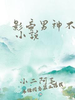 影帝男神不节制 小说