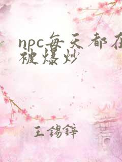 npc每天都在被爆炒