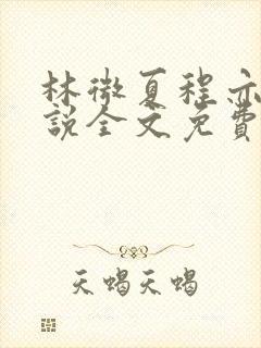 林微夏程亦风小说全文免费