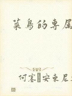 菜鸟的专属大神