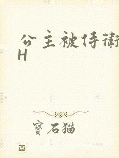 公主被侍卫灌满H