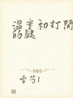 温实初打开眉庄的腿