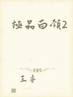 极品白领2