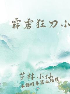 霹雳狂刀小说