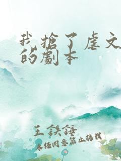 我抢了虐文男主的剧本