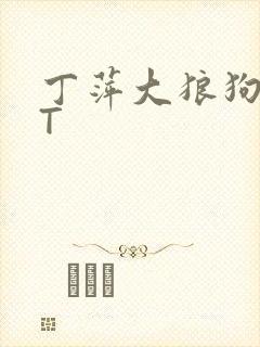 丁萍大狼狗TXT