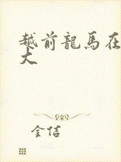 越前龙马在立海大