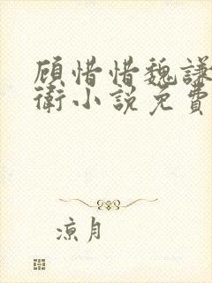 顾惜惜魏谦锦衣卫小说免费阅读