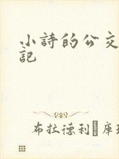 小诗的公交车日记