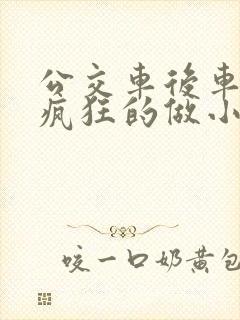 公交车后车座的疯狂的做小