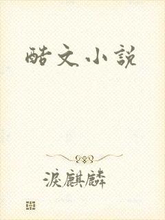 酷文小说