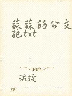 苏苏的公交车日记txt