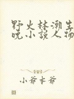 野火林潮生林晚晚小说人物野火