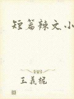 短篇辣文小说
