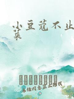 小豆蔻不止是颗菜