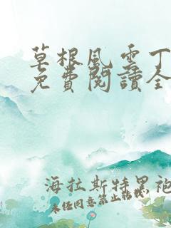 草根风云丁长生免费阅读全本