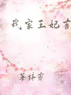 我家王妃有点野