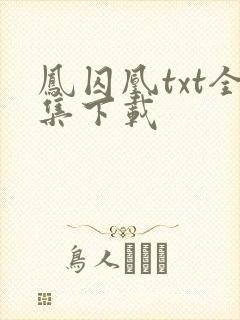 凤囚凰txt全集下载
