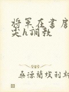 将军在书房含乳尖h调教