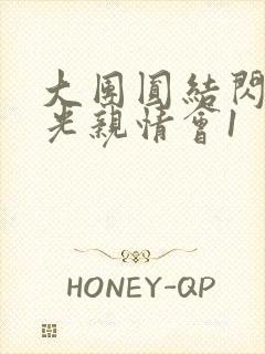 大团圆结闪闪发光亲情会1