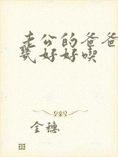 老公的爸爸的几几好好吃