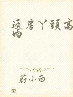 通房丫头高h纯肉