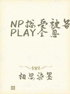 NP总受被各种PLAY全息