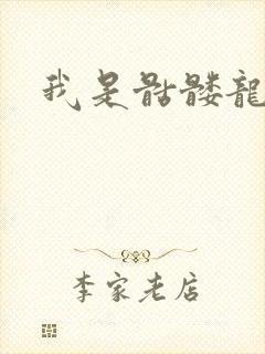 我是骷髅龙骑兵