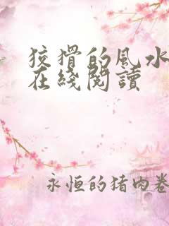 狡猾的风水相师在线阅读