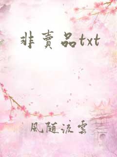 非卖品txt