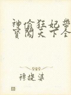 神偷狂妃带着宝宝闯天下全文免费阅读