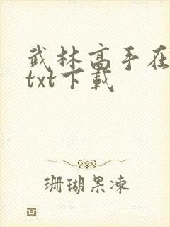 武林高手在校园txt下载