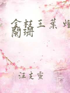 金枝玉叶 灯火阑珊