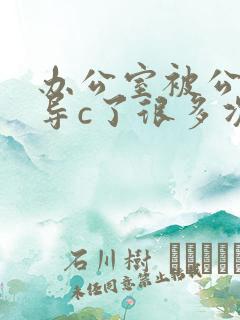 办公室被公司领导c了很多次