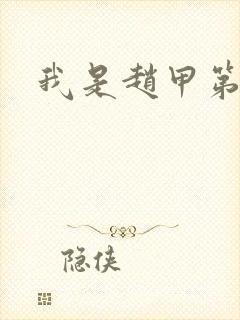 我是赵甲第小说