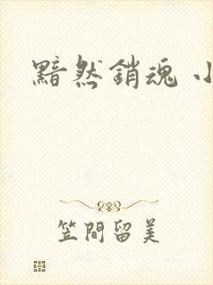 黯然销魂 小说