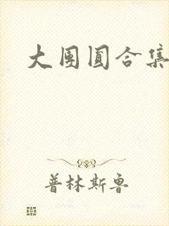 大团圆合集