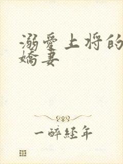 溺爱上将的宝贝娇妻