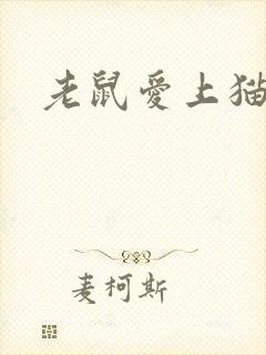 老鼠爱上猫下载