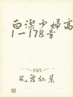 白洁少妇高义第1一178章