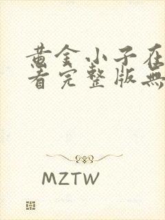 黄金小子在线观看完整版无删减高清