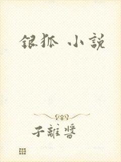银狐 小说