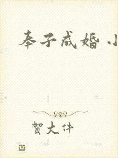 奉子成婚 小说