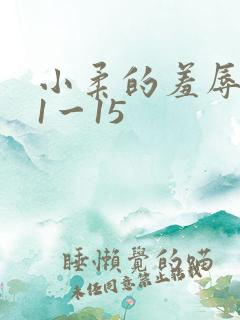 小柔的羞辱日记1一15