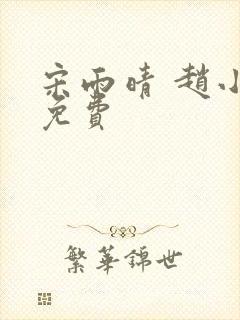 宋雨晴 赵小刚免费