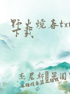 野火烧春txt下载