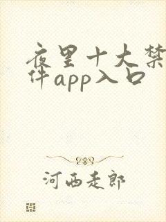 夜里十大禁用软件app入口