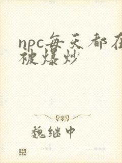 npc每天都在被爆炒